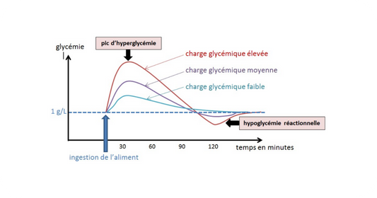 Barres Énergétiques à Faible Teneur en Sucre : Le Carburant Sain Sans Effet Yo-Yo