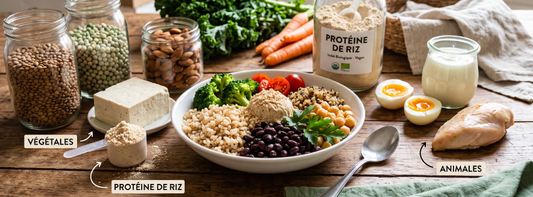 Protéines végétales vs animales : pourquoi opter pour la protéine de riz ?