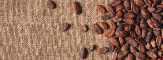 Les 5 Bienfaits du Cacao Cru que Vous Devez Connaître