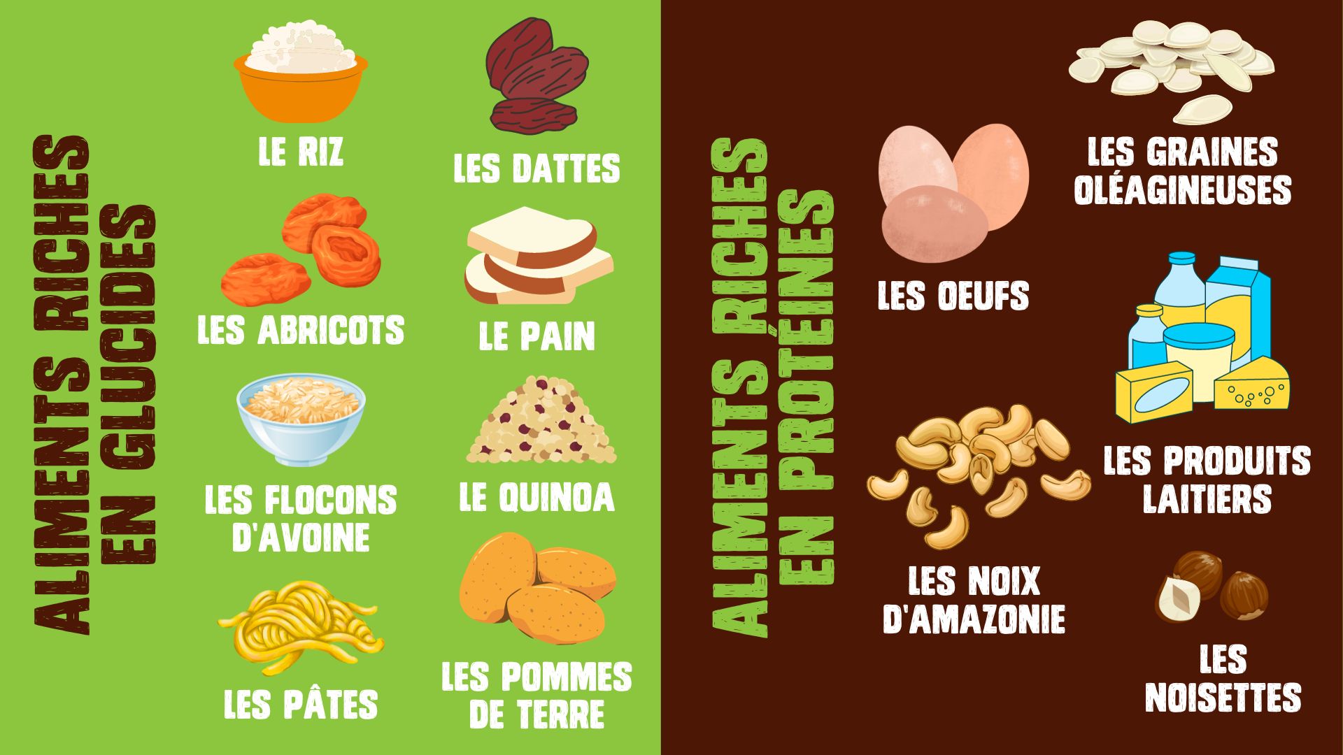 Infographie donnant des exemples d'aliments riches en glucides et en protéines. 