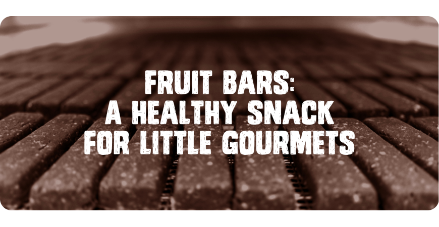 Fruit bars: A healthy snack for little gourmets