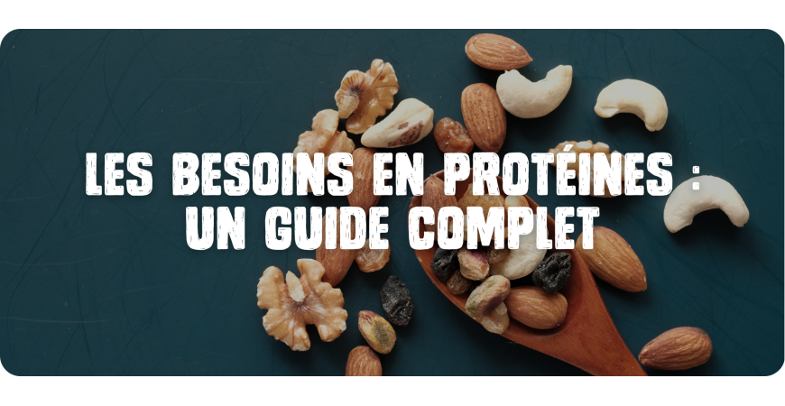 Les besoins en protéines : Un guide complet