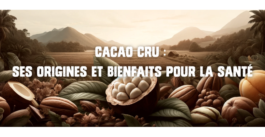 Cacao Cru : Ses Origines et Bienfaits pour la Santé